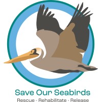 Save Our Seabirds logo
