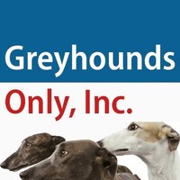 Greyhounds Only, Inc. logo