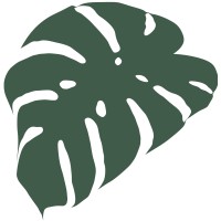 Spotted Leaf Plant Company logo