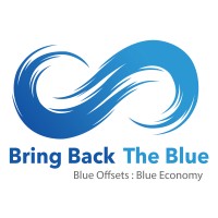 Bring Back The Blue logo