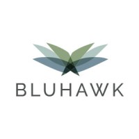 Bluhawk logo