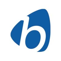 Business Systems International logo