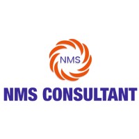 NMS Consultant logo