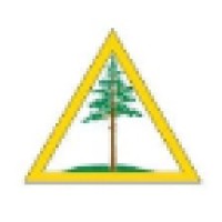 Burt Lumber Company logo