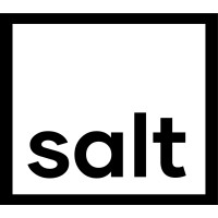 SALT PRODUCTIONS LLC logo