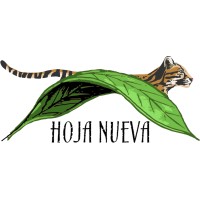 Hoja Nueva logo