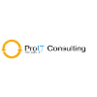 ProIT Consulting logo