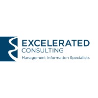 Excelerated Consulting logo