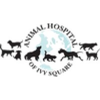 Animal Hospital Of Ivy Square logo