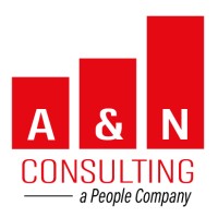 A&N Consulting Group, Inc. logo