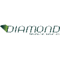 Diamond Insurance Group Llc logo