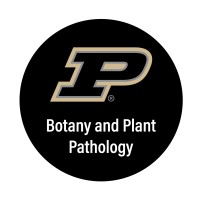Botany And Plant Pathology Department At Purdue University logo