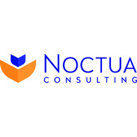Noctua Consulting Services logo