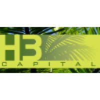 H3 Capital LLC logo