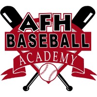 All Fields Hitting Baseball Academy logo