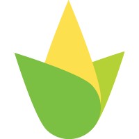 Cornucopia Popcorn logo