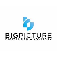 BIG Picture logo