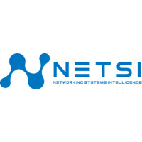 NETSI logo