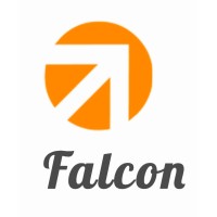 Falcon Internet logo