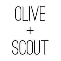 Olive + Scout logo