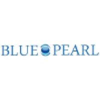 Blue Pearl InfoTech Private Limited logo