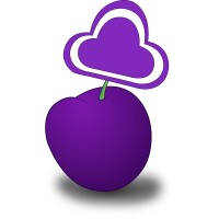 Image of Insight Plum