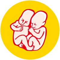 Pohoda Festival logo