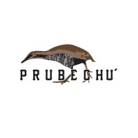 PRUBECHU, LLC logo