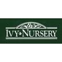 Ivy Nursery Inc logo