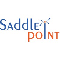 Saddle Point Technologies logo