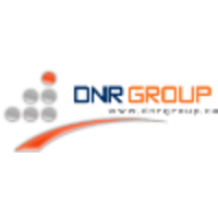 DNR Group Inc logo