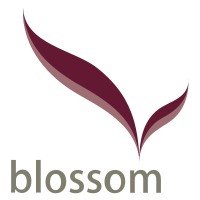 Blossom Aesthetics logo