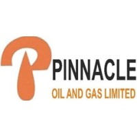 Pinnacle Oil And Gas Limited logo