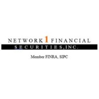 Network 1 Financial Securities, Inc. logo
