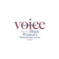 Image of In Our Own Voice: National Black Women's Reproductive Justice Agenda