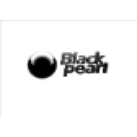 Black Pearl Consultancy logo