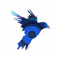 Raven Audio logo