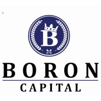 Boron Capital logo