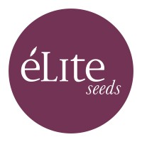 Élite Seeds logo