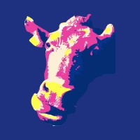 Spunky Cow logo