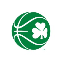 Basketball Ireland logo