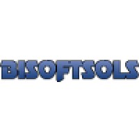 BI Software Solutions logo