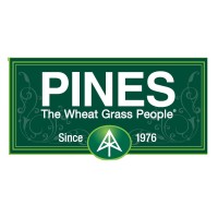 Pines International, Inc logo