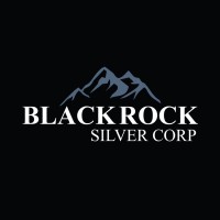 Blackrock Silver Corp logo