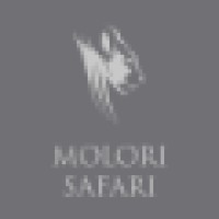 Molori Safari logo