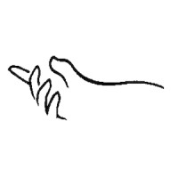 The Hand Center Of Western Massachusetts logo