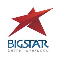 Big Star Company Limited logo