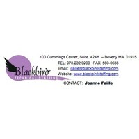 Blackbird Technical Staffing logo
