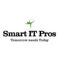 SMART IT PROS INC logo