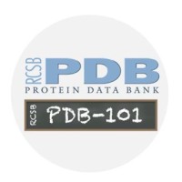 RCSB Protein Data Bank logo